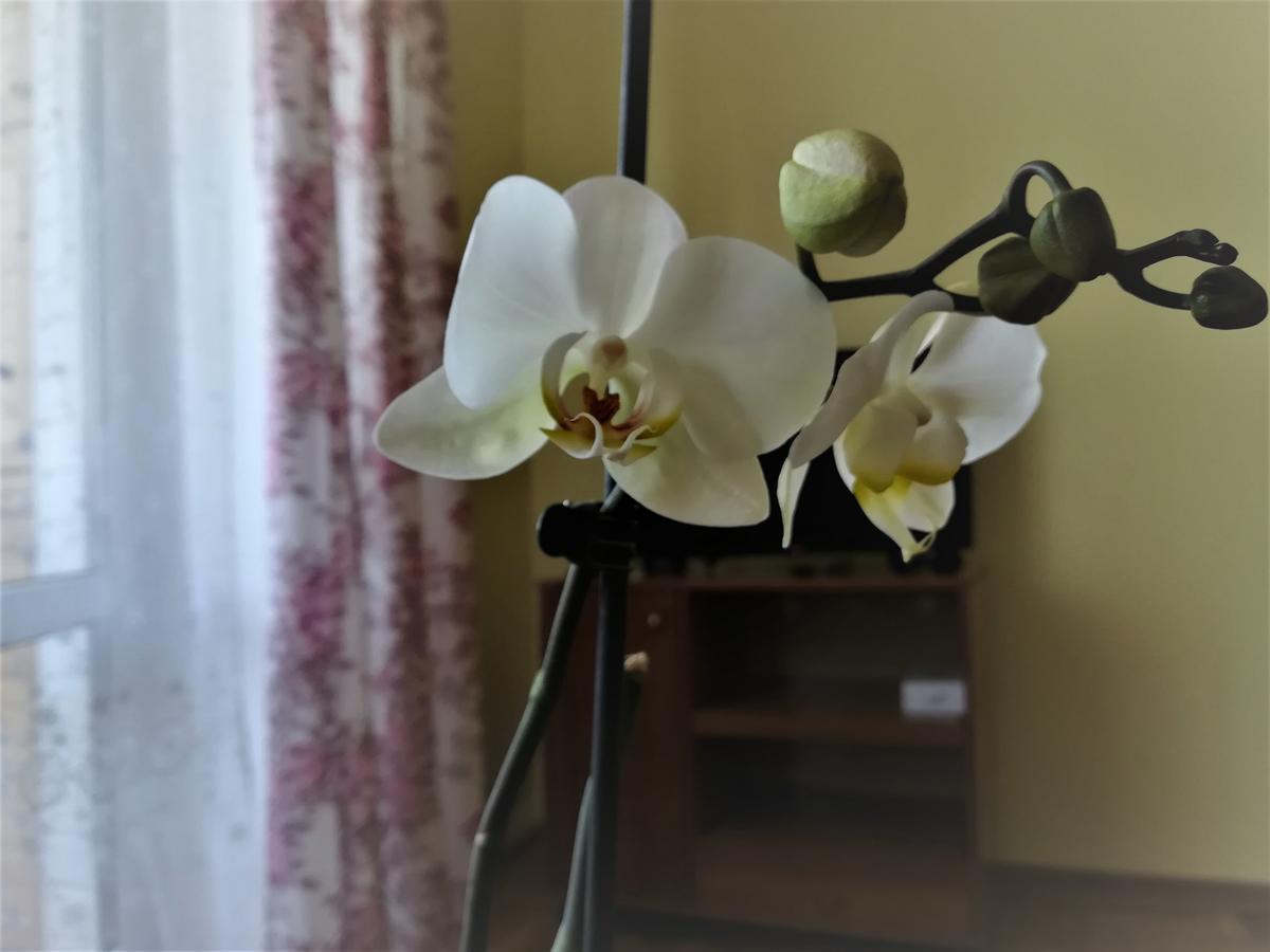 Apartament Na Adamkovskoy Appartamento Brest Esterno foto